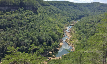 Daniel Boone Forest In KY Yields Astonishing 9,000 Year Old Find