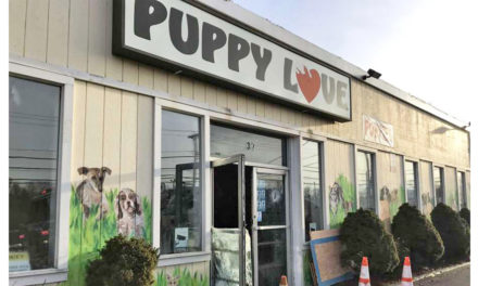Firefighters & Civilians Rescue 86 Puppies From Pet Shop – Yay!