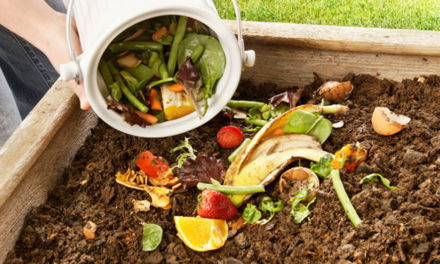 Learn The Ins And Outs Of Composting, May 29, In Newton