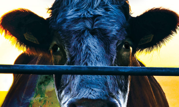 Cowspiracy: The Sustainability Secret, Oct. 7, At AMC Hickory
