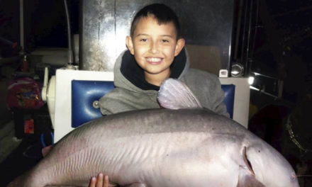 Young Boy Catches Massive Blue Catfish In New Mexico