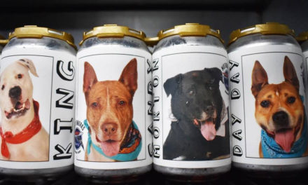 Woman Sees Missing Dog On Beer Cans Promoting Shelter Dogs