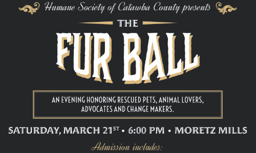 Tickets On Sale Now For HSCC’s Inaugural Fur Ball On March 21