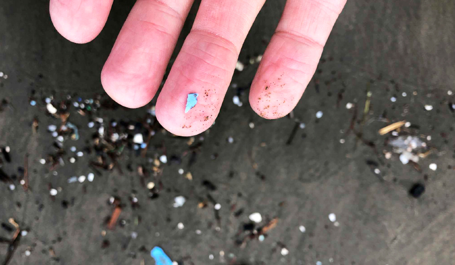 Scientists Study The Risk From Microplastic Pollution