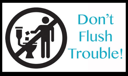 City Of Newton Urges Residents To Stop Flushing TP Alternatives