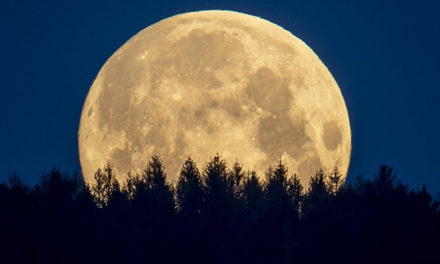 Human Urine Could Help Make Concrete On Moon