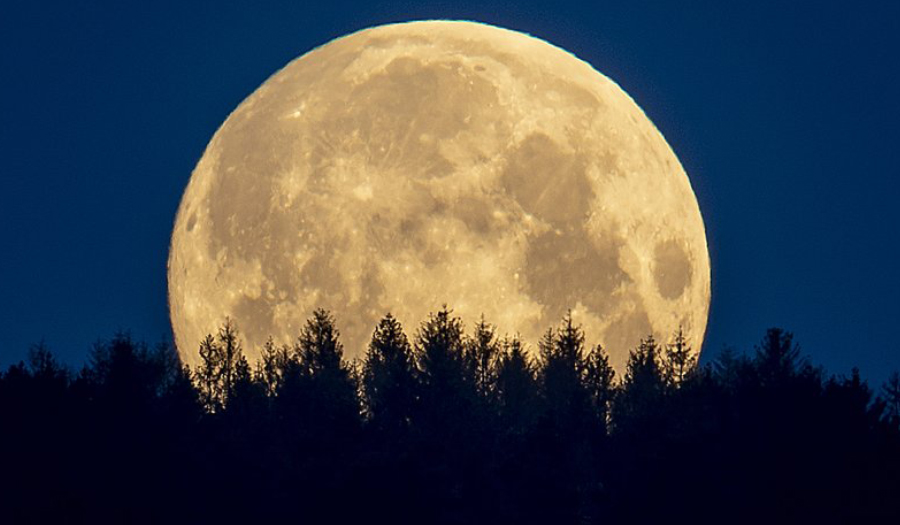 Human Urine Could Help Make Concrete On Moon