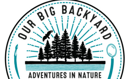 Foothills Conservancy Of NC To Hold Annual Our Big Backyard Summer Camp Virtually, July