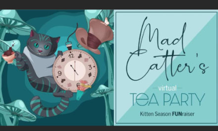 HSCC Hosts Mad Catter’s Virtual Tea Party On Sunday, June 28