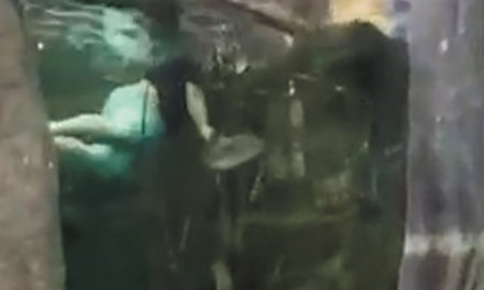 Police Reel In Louisiana Man Captured Swimming In Fish Tank