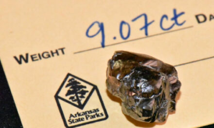 Bank Manager Finds 9.07-Carat Diamond In Arkansas State Park