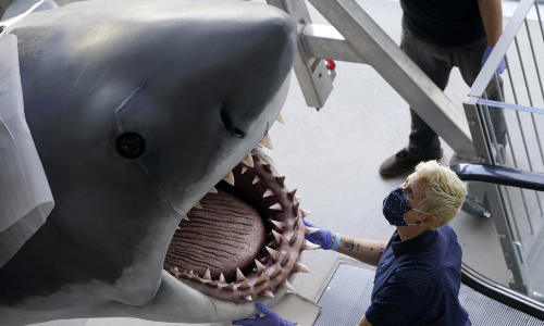 Bruce, The Last ‘Jaws’ Shark, Docks At The Academy Museum