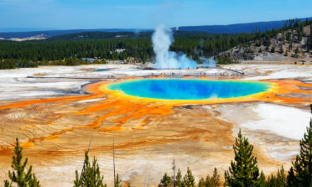 Three Charged In Hot Spring Culinary Caper At Yellowstone