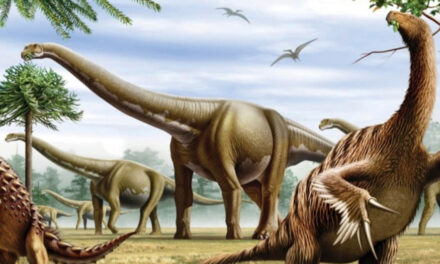 Study Shows Some Dinosaur Migration Delayed By Climate Change