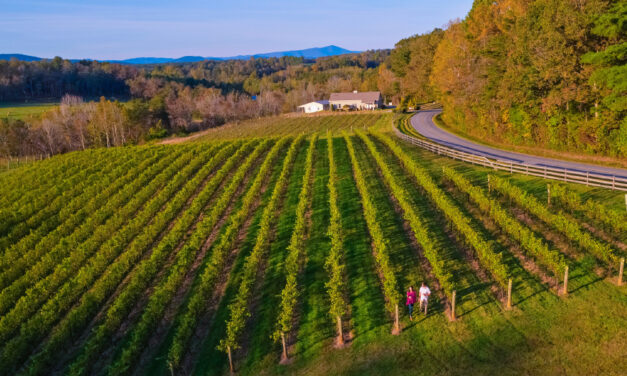 Surry Trail Reaches Milestone With Four New Wineries