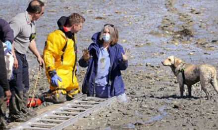 Nurse, Capturing The Feeling Of A Nation, Gets Stuck In Mud