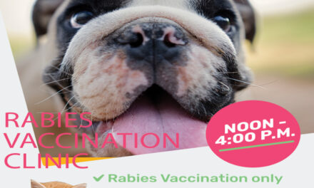 HPD Hosts A Stay In Your Car Rabies Vaccination Clinic, 5/22