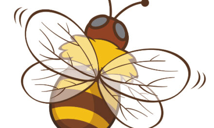 CSC Celebrates Pollinator Week With Family Bug Day, 6/24