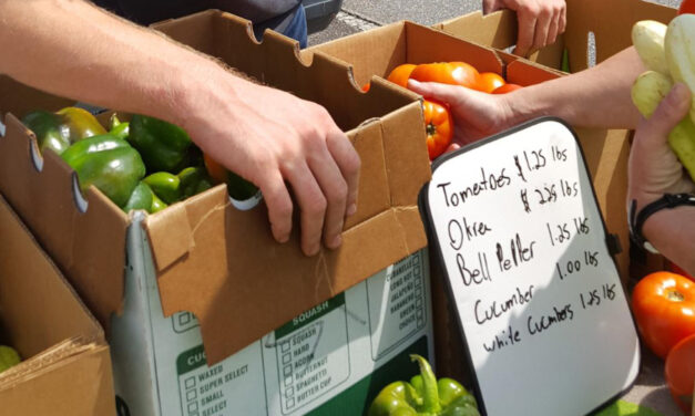 Catawba County Public Health Farmers Market Opens June 3