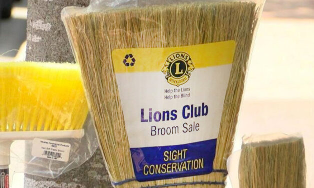 Long View Lions Broom Sale And Bucket Brigade, June 19