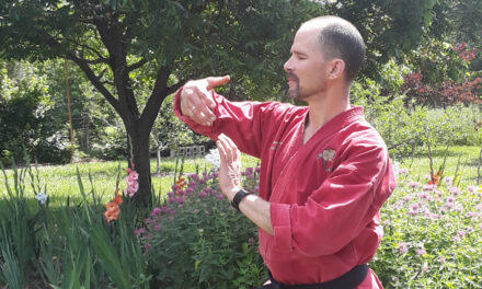 Discover The Benefits Of Tai Chi, Wednesdays With George Place