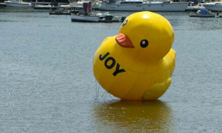 Giant Rubber Ducky Takes Flight; Where Will It Land Next?