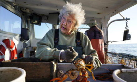 At 101, She’s Still Hauling  Lobsters With No Plans To Stop