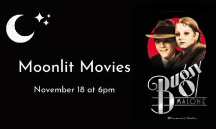 Moonlit Movies At Patrick Beaver Memorial Library, Nov. 18