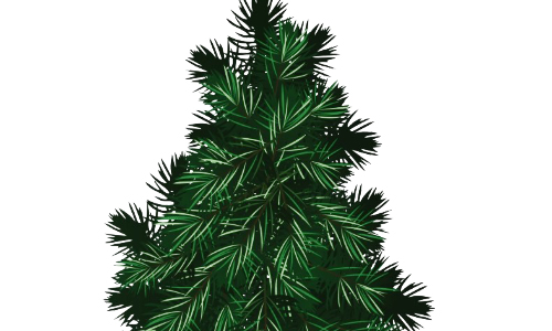 Christmas Tree Recycling: Holiday Curbside Collection & Convenience Center Schedules For Catawba County