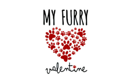 Hickory Hosts My Furry Valentine Event At Dog Park, Feb. 5