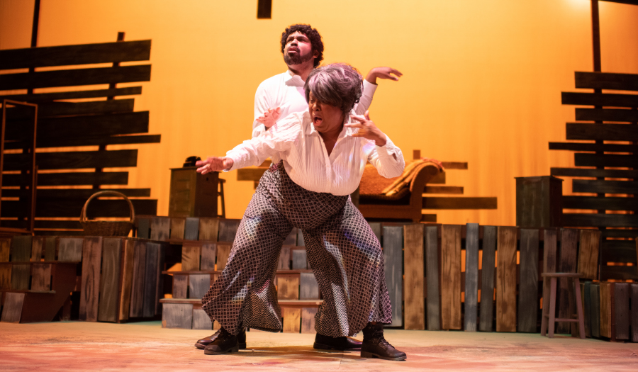 Last Weekend To Catch The Color Purple At HCT, 2/3 – 2/6