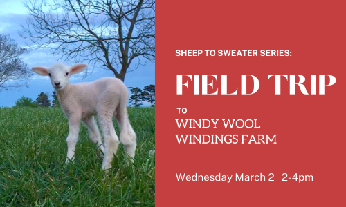 Field Trip To Windy Wool