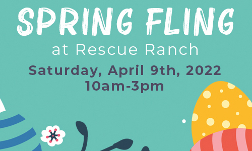 Rescue Ranch To Host Spring Fling