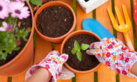 West Hickory Senior Center’s Green Thumb Garden Club Meets Monday, May 2