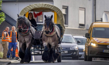 German Saves Fuel With Horses