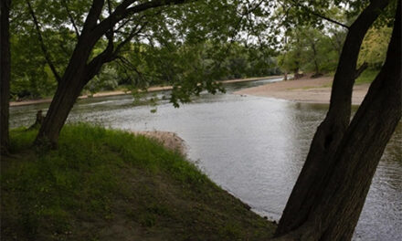 Nearly 8,000-Year-Old Skull Found In Minnesota River