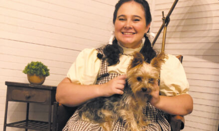 The Wizard Of Oz Coming To Hildebran, Beginning July 29