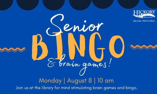 Senior Bingo And Brain Games Restarts At Beaver Library, 8/8