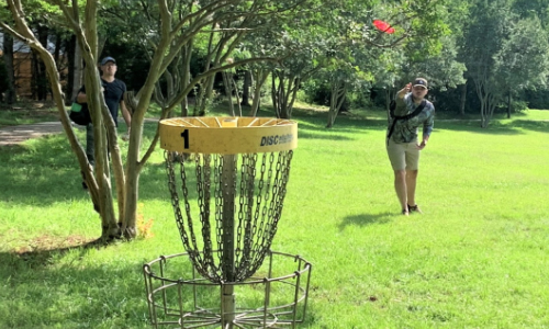 Fly Pink Disc Golf