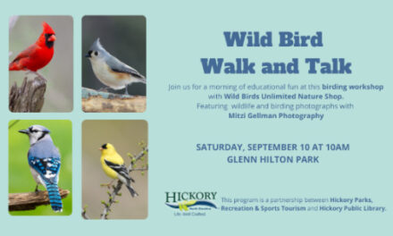 Wild Bird Walk & Talk At Glenn C. Hilton Park, Saturday, 9/10