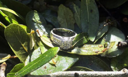 Lost Wedding Ring Found In Brush Pile After Hurricane Ian