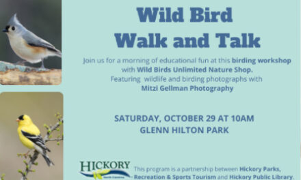Wild Bird Walk & Talk Program At  Glenn C. Hilton Park, Oct. 29