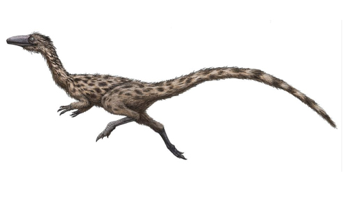 ‘Swift-Footed Lizard’ Named Massachusetts State Dinosaur