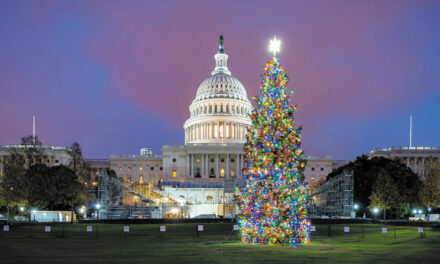 U.S. Capitol Christmas Tree To Visit Newton, Tuesday, Nov. 8th