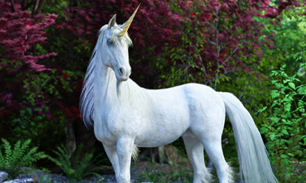 California Girl Licensed To Own Unicorn — If She Finds One