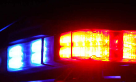Florida Sheriff: Burglars Call 911 To Get Help Moving Stuff