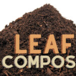 City Of Hickory Sells Leaf  Compost While Supplies Last