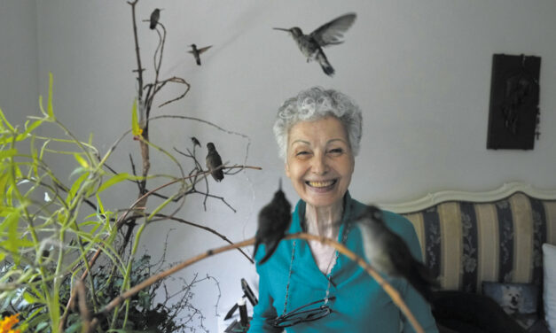 A Woman In Mexico City Turns Her Apartment Into A Clinic For Dozens Of Ailing Hummingbirds