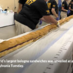 Enormous Bologna Sandwich Unveiled At Community Fair